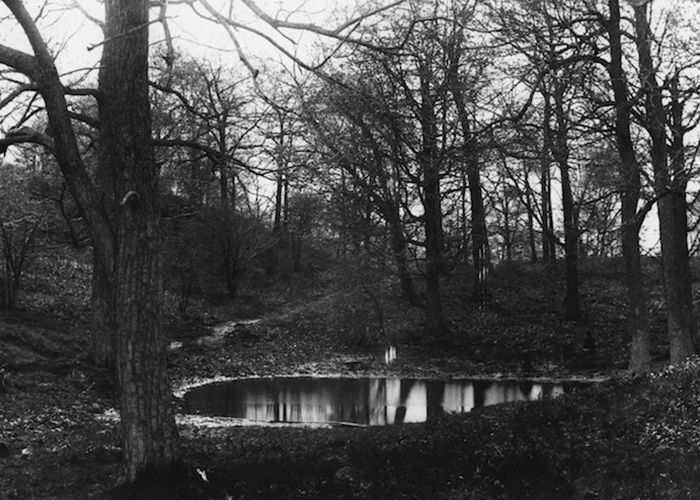 Summit Woods (Summit Park) pond, c. 1890